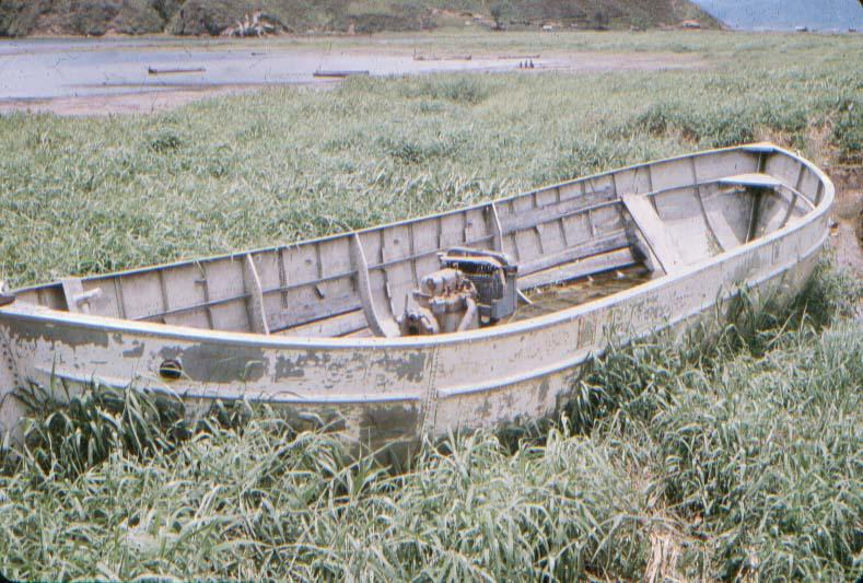BD/37/138 - 
Paniai meer: resten van boten
