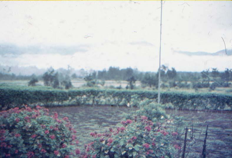 BD/37/179 - 
missiestatie Wamena: uitzicht op de bergen
