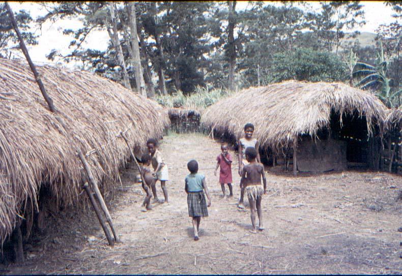 BD/37/241 - 
Wamena: een kijkje in de kampong
