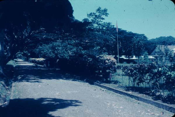 BD/67/6 - 
Seroei weg langs H.P.B.
