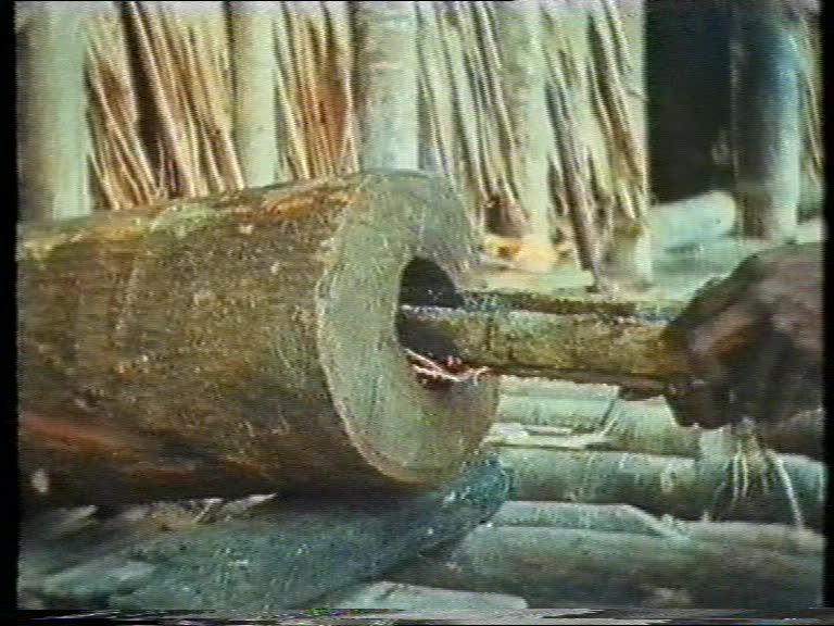FI/1200/55 - 
Matjemosh: A woodcarver from the village of Amanamka, Asmat tribe, on the Southern West coast of New Guinea
