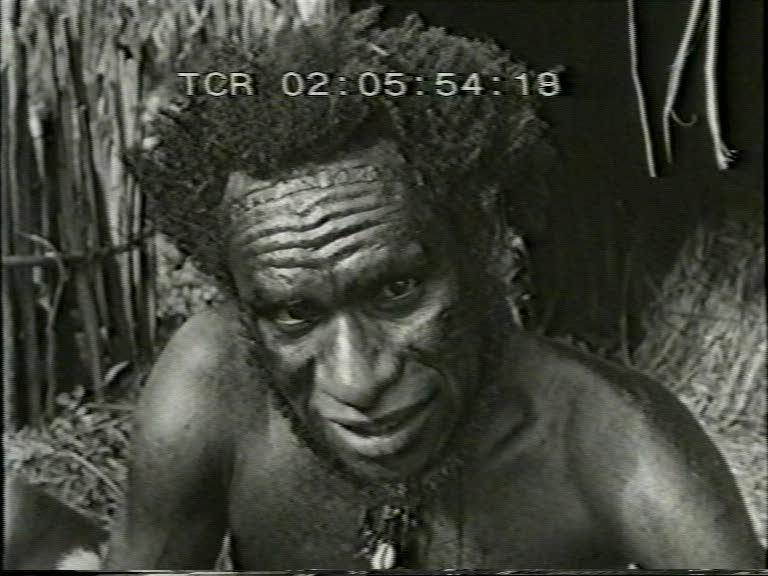FI/1200/145 - 
Nieuw-Guinea Kroniek 7: Baliem, geheimzinnig hart van Nieuw-Guinea 
