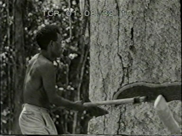 FI/1200/154 - 
Nieuw-Guinea Kroniek 11: Hout, bron van welvaart
