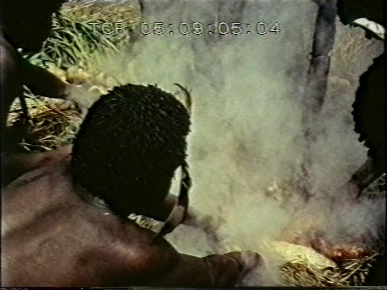 FI/1200/158 - 
Nieuw-Guinea Kroniek 15: Zendingspost in de Baliemvallei
