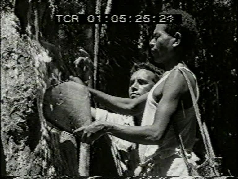 FI/1200/159 - 
Nieuw-Guinea Kroniek 16: De bosexploitatie

