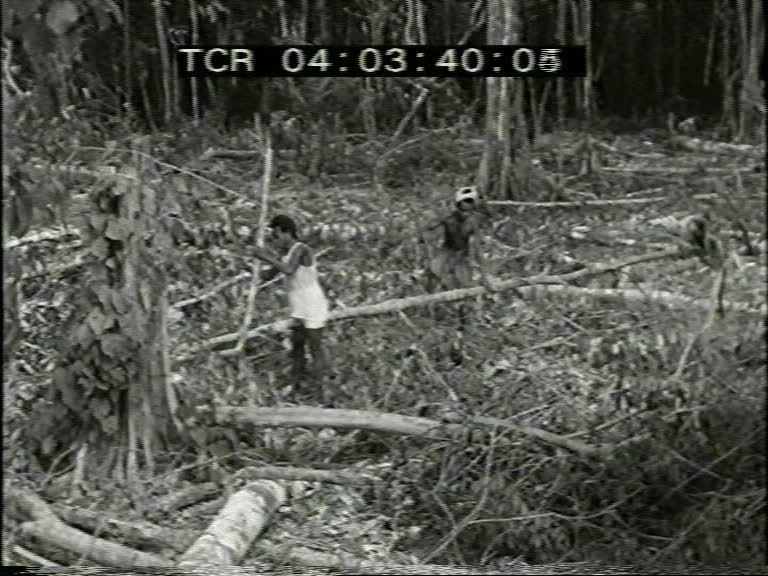 FI/1200/162 - 
New Guinea Chronicle 19: Population Cultures
