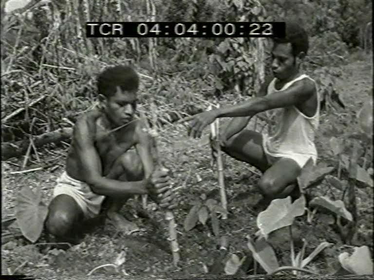 FI/1200/162 - 
New Guinea Chronicle 19: Population Cultures
