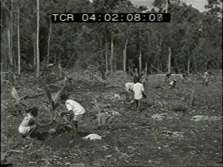FI/1200/162 - 
Nieuw-Guinea Kroniek 19: Bevolkingscultures
