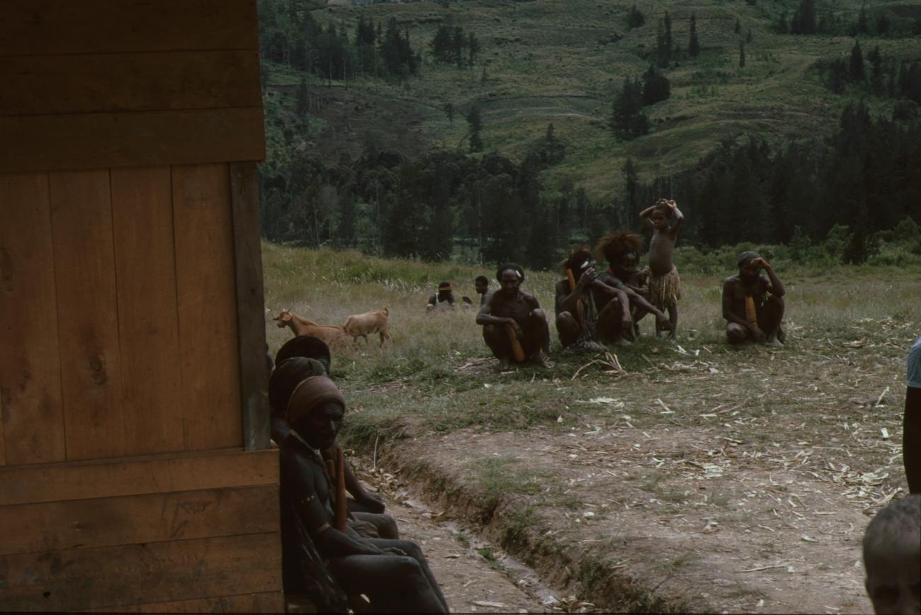 BD/166/135 - 
Mensen en geiten op veldje achter houten gebouw

