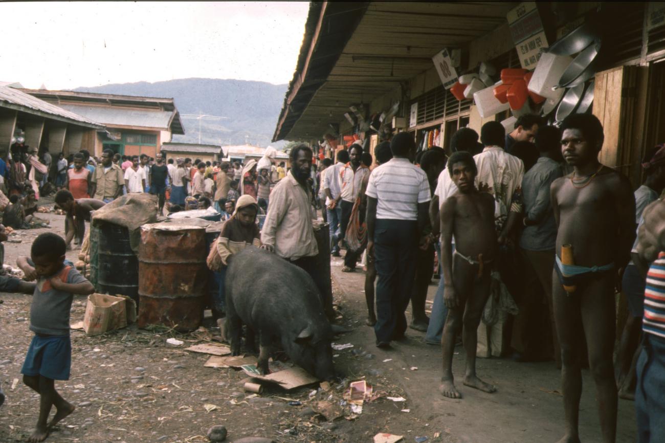 BD/166/286 - 
Scrambling pigs at the market
