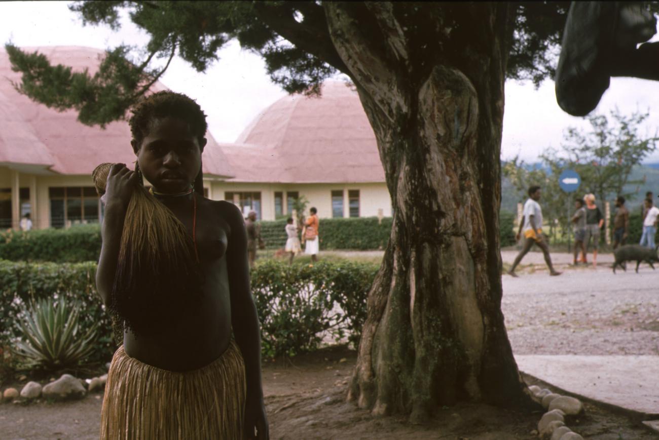 BD/166/293 - 
Papua girl under a tree
