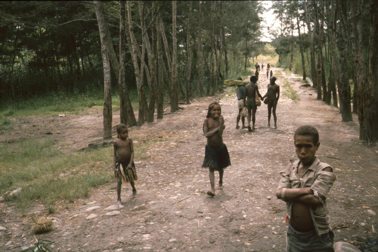 BD/166/346 - 
Papua kinderen op paadje tussen bomen

