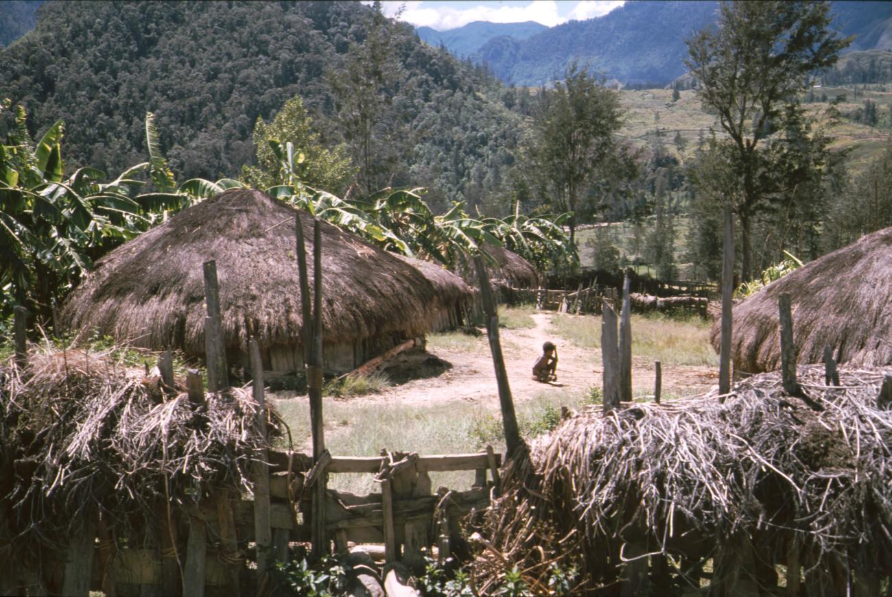 BD/166/364 - 
Grass huts
