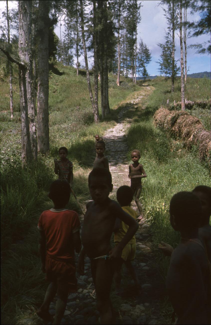 BD/166/370 - 
Children on a tiny path
