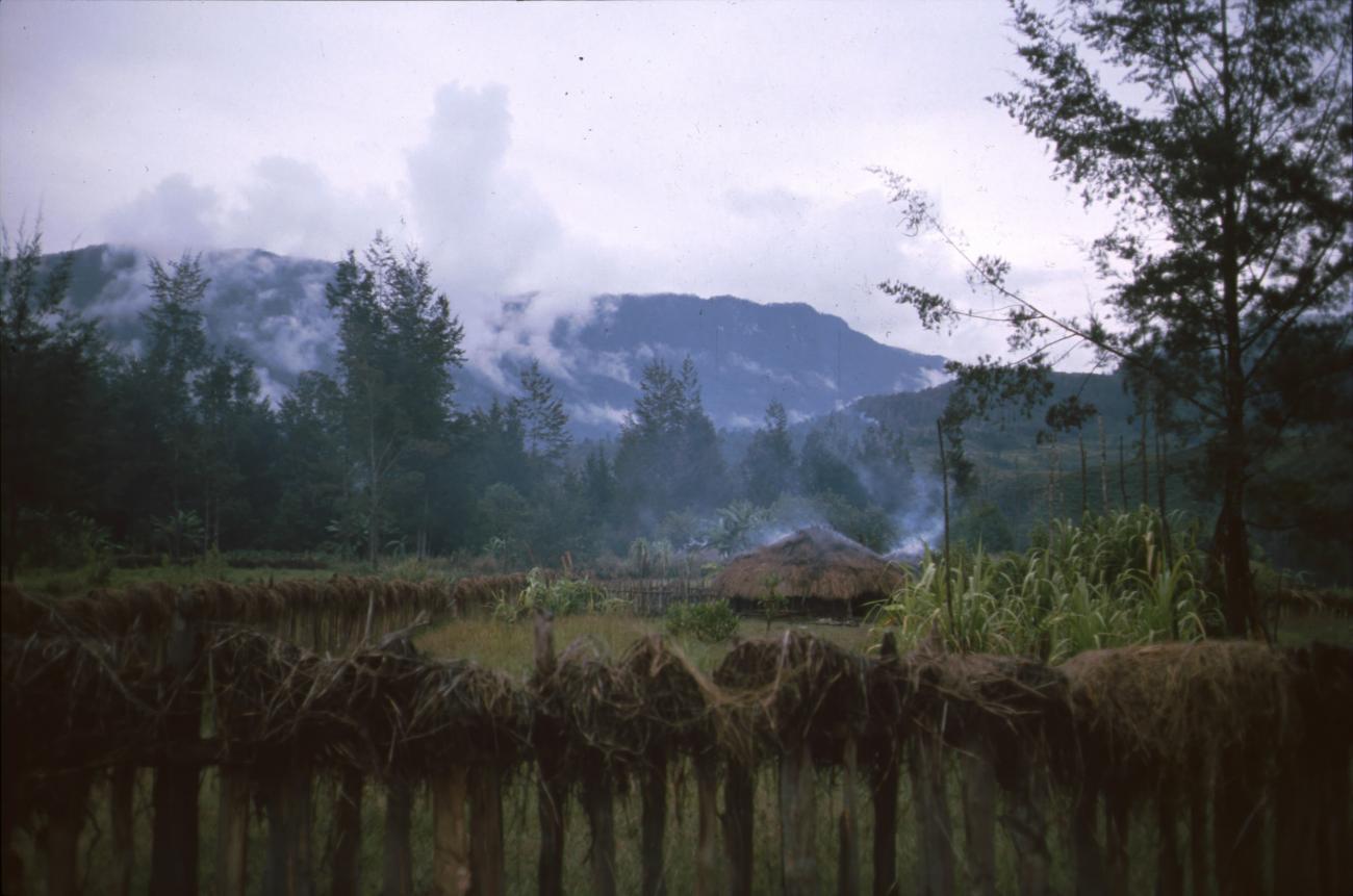 BD/166/397 - 
Fenced grass hut
