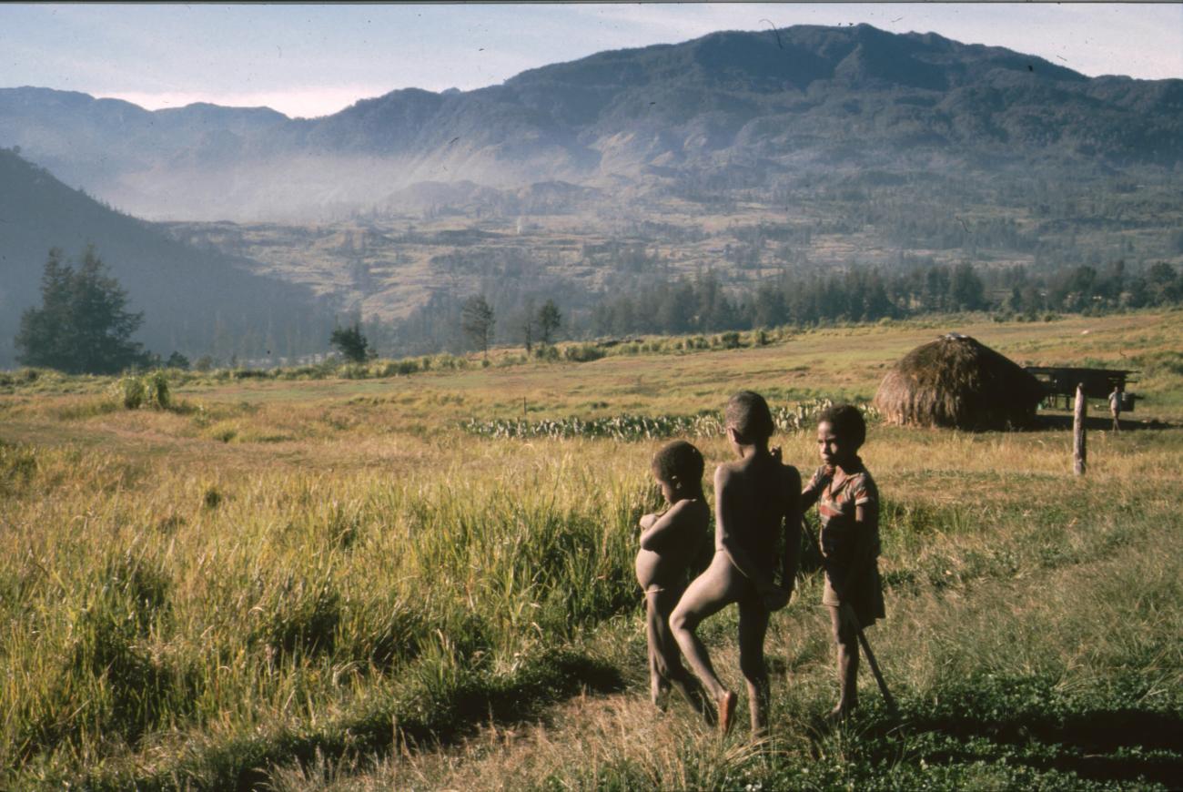 BD/166/417 - 
Drie papua jongens in het veld
