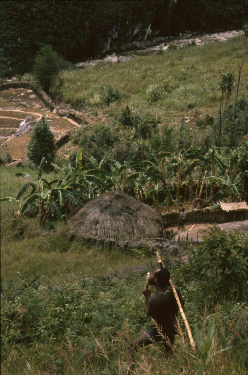 BD/166/431 - 
Part of the village with a boy carrying bamboo

