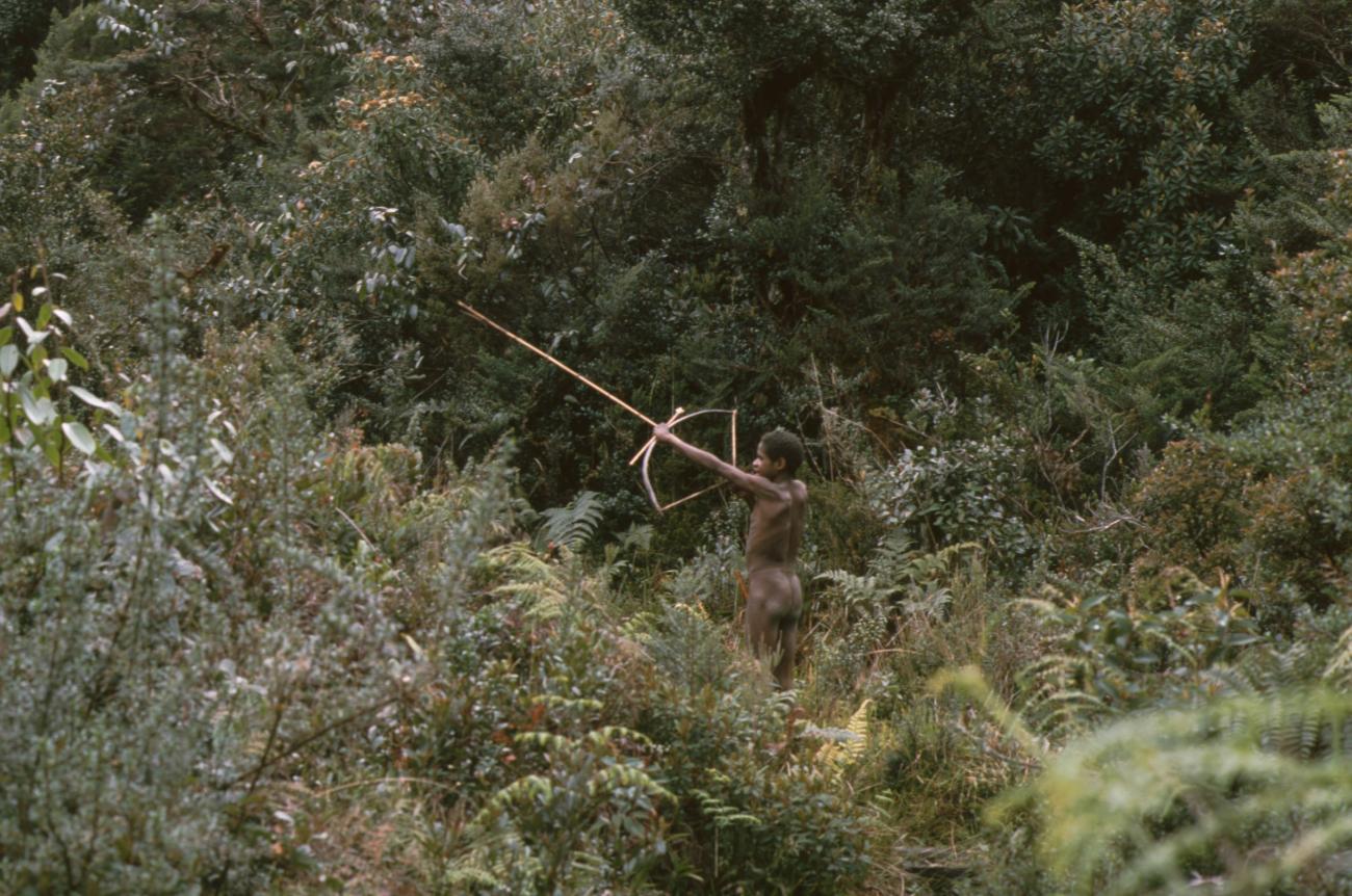 BD/166/6 - 
Man in the forest with bow and arrow ready to attack
