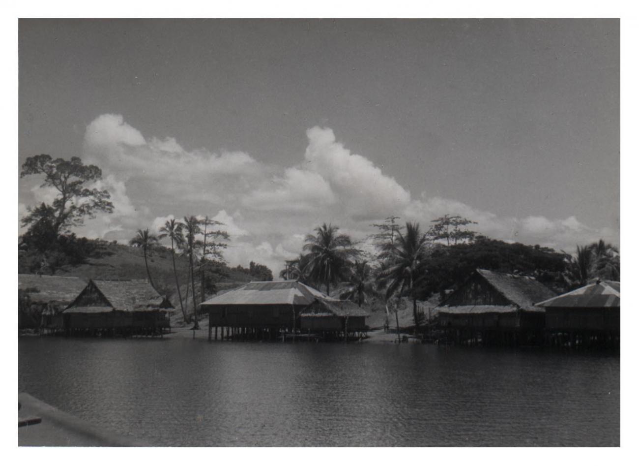 BD/54/2 - 
Kampong Ifar at coastal lake Sentani

