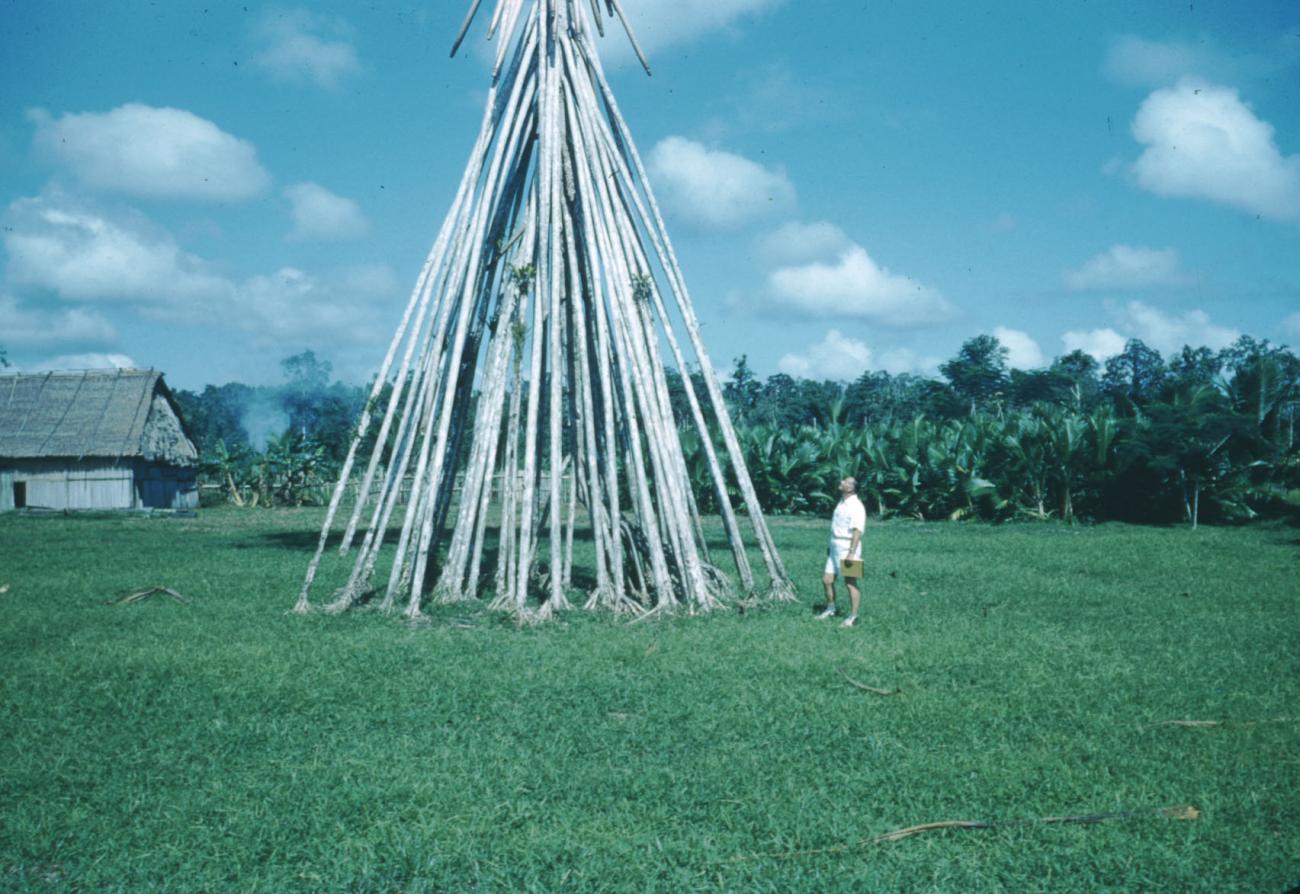 BD/209/2057 - 
Pandanus-boom ( boom met luchtwortels)
