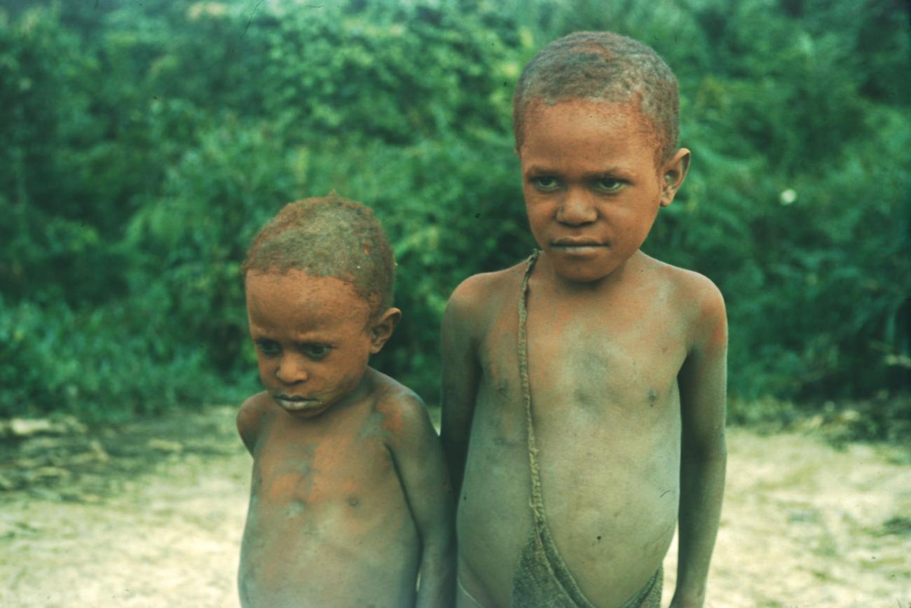BD/209/4002 - 
Papoea-kinderen
