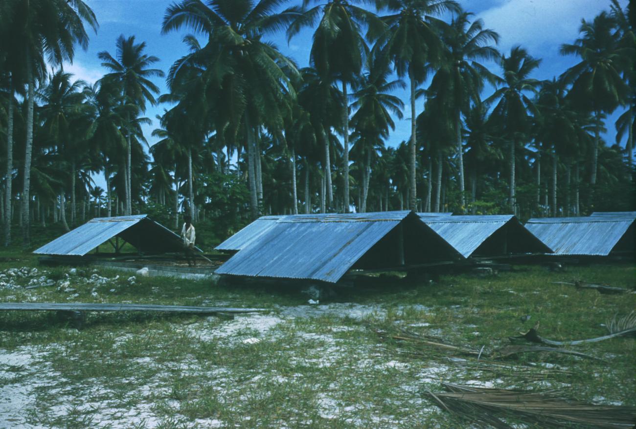 BD/209/4027 - 
Cocosplantage
