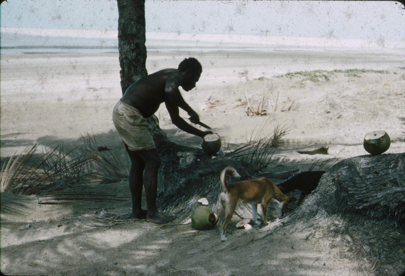 BD/288/121 - 
Man snijdt in kokosnoot op het strand
