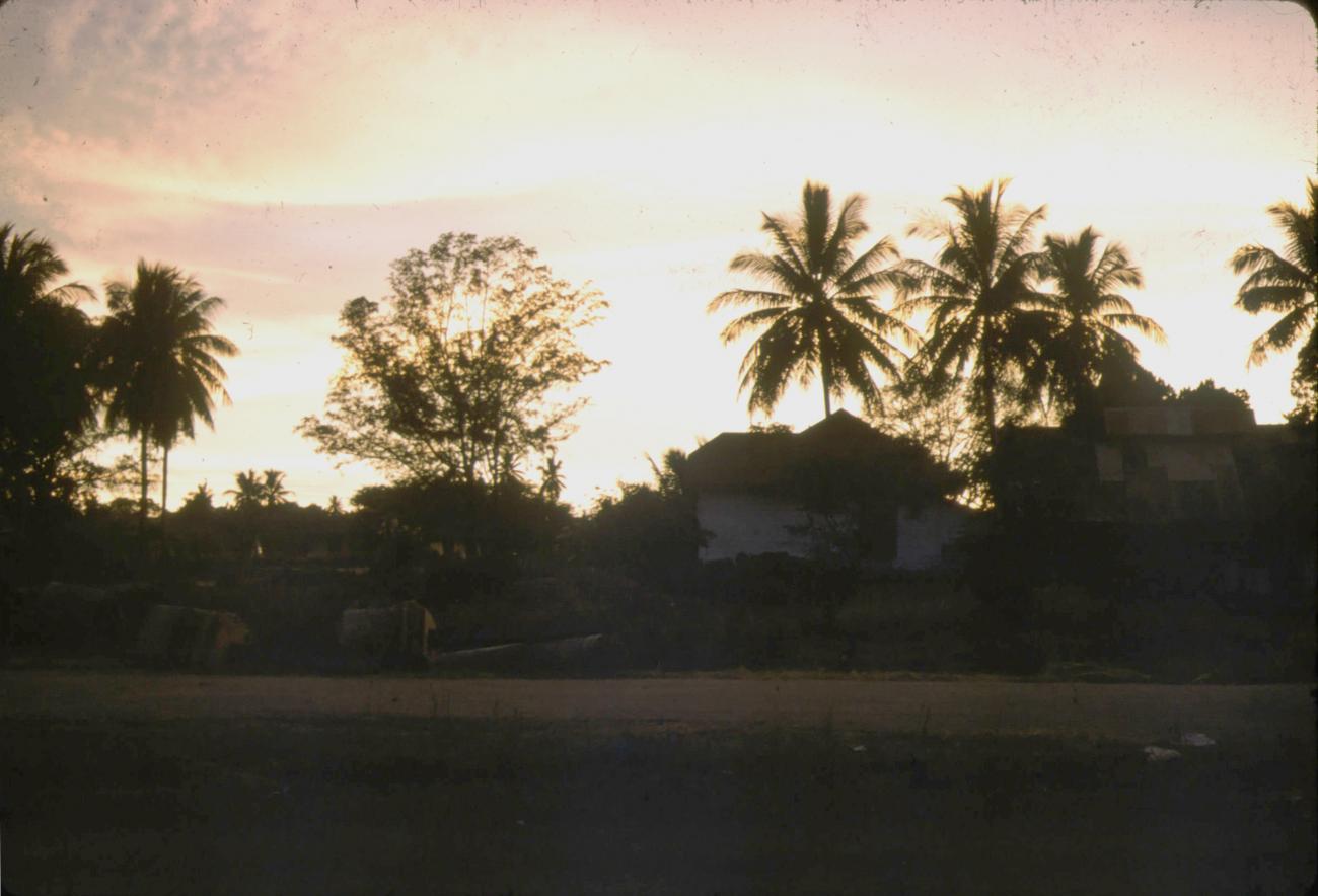 BD/288/149 - 
Dorp met palmbomen op achtergrond
