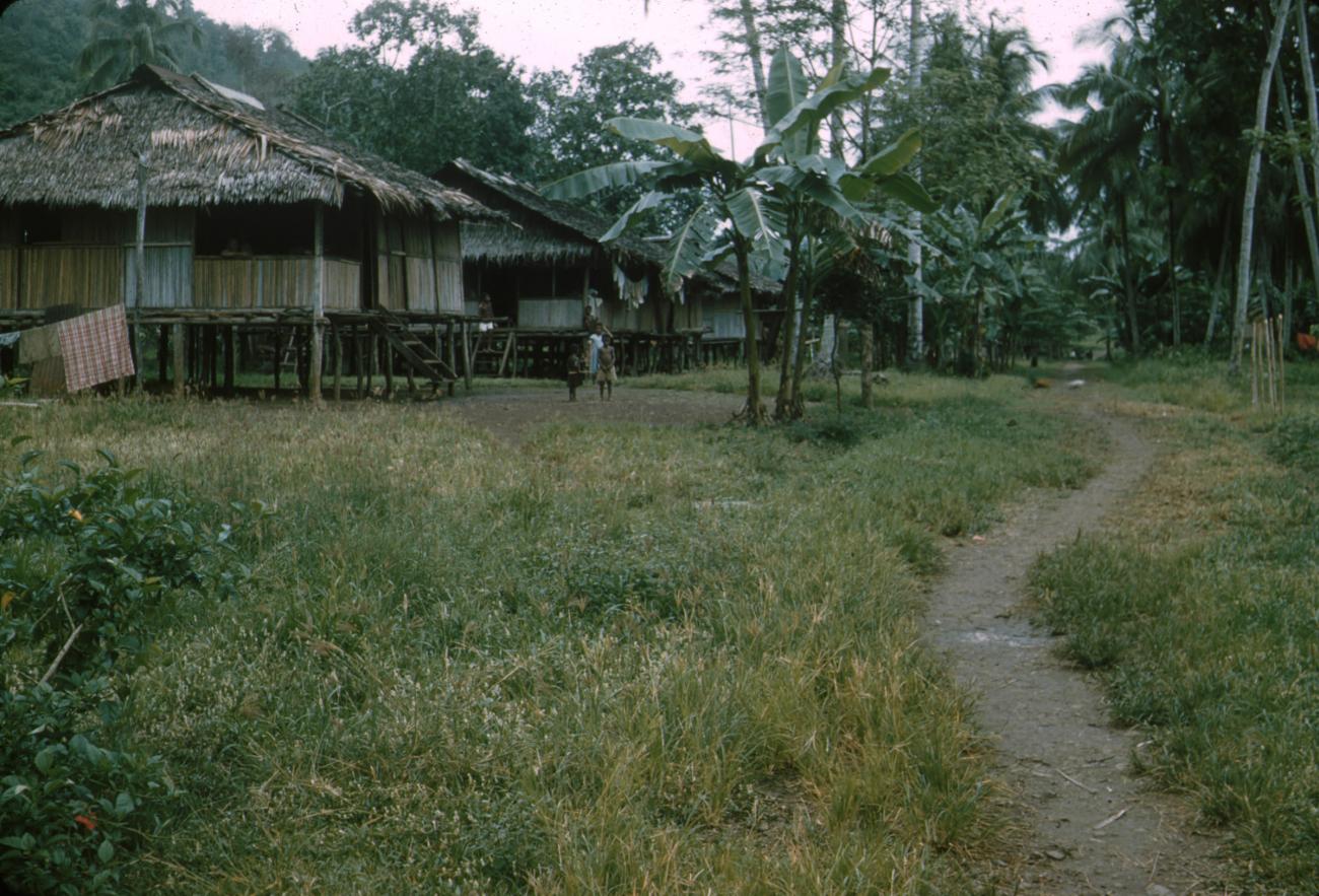 BD/288/76 - 
Pad langs huizen Kampong Joka
