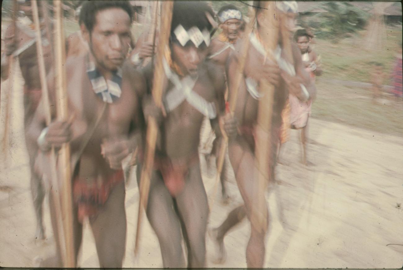BD/144/149 - 
Viering koninginnendag, groepsfoto dansende papoea&#039;s 
