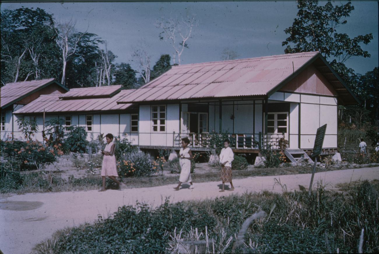 BD/144/46 - 
Papoea-vrouwen op zandweg, gebouwen op achtergrond
