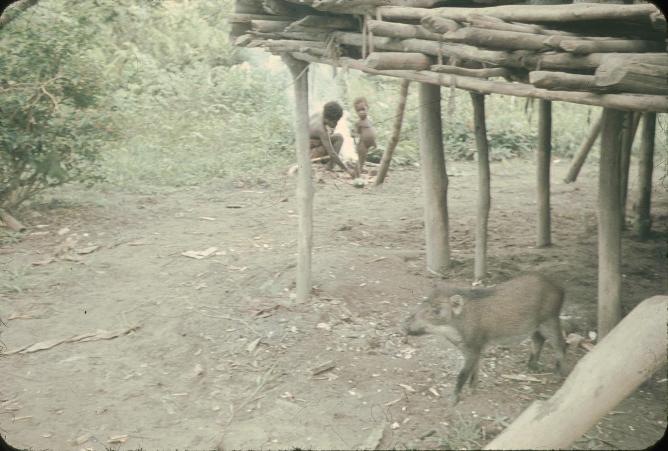 BD/144/57 - 
Papoea-vrouw en kind bij vuurtje, deel hut zichtbaar
