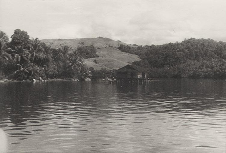 BD/256/157 - 
Rieten hut op het water met op de achtergrond bergachtig landschap
