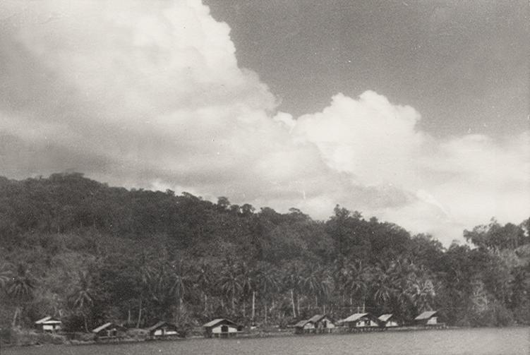 BD/256/159 - 
Meerdere huizen op het water met palmbomen en berglandschap op de achtergrond
