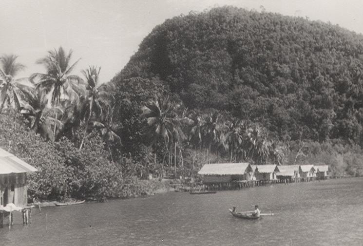 BD/256/160 - 
Meerdere huizen op het water met palmbomen en berglandschap op de achtergrond
