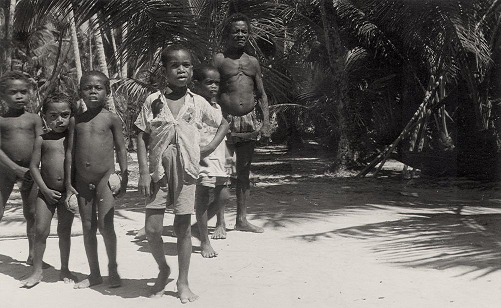 BD/256/179 - 
Papoea kinderen op het strand tussen de palmbomen
