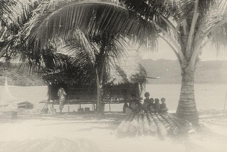 BD/256/88 - 
Papoea&#039;s tussen de palmbomen
