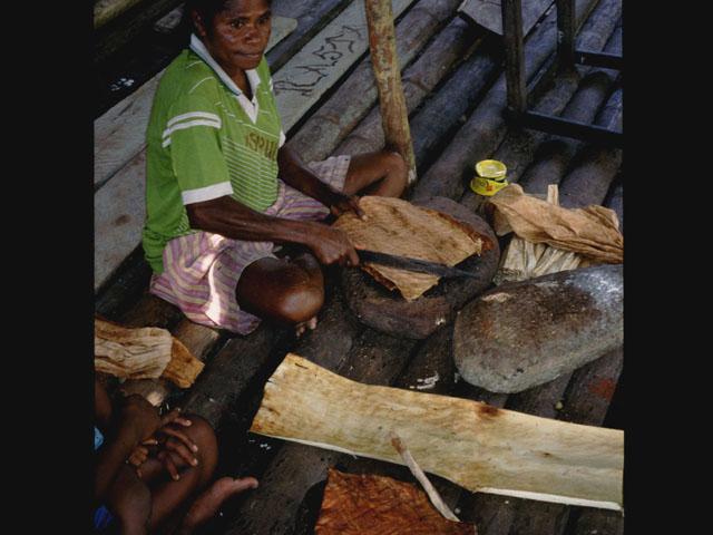 BD/27/10 - 
Woman preparing bark cloth
