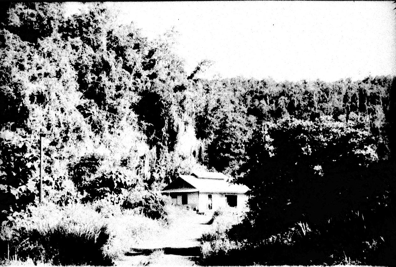 BD/67/129 - 
Huis omringd door bos
