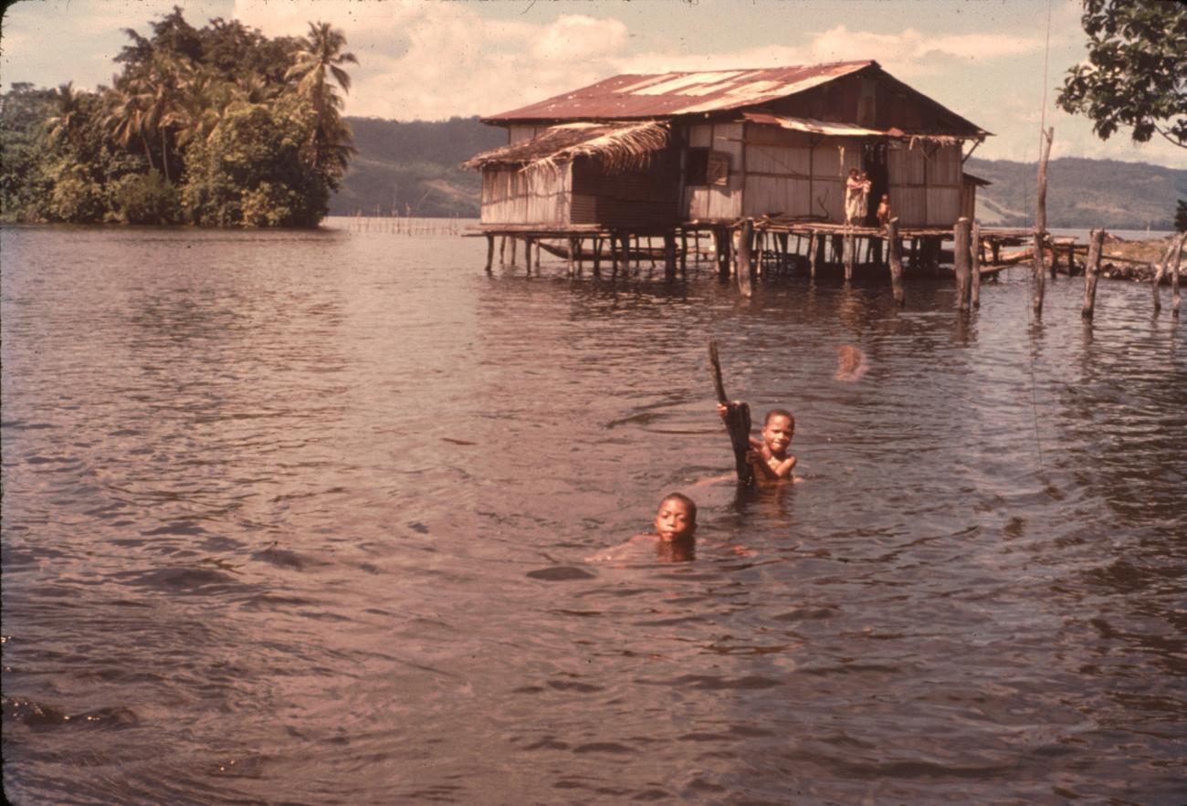 BD/67/192 - 
Huis op palen in het water
