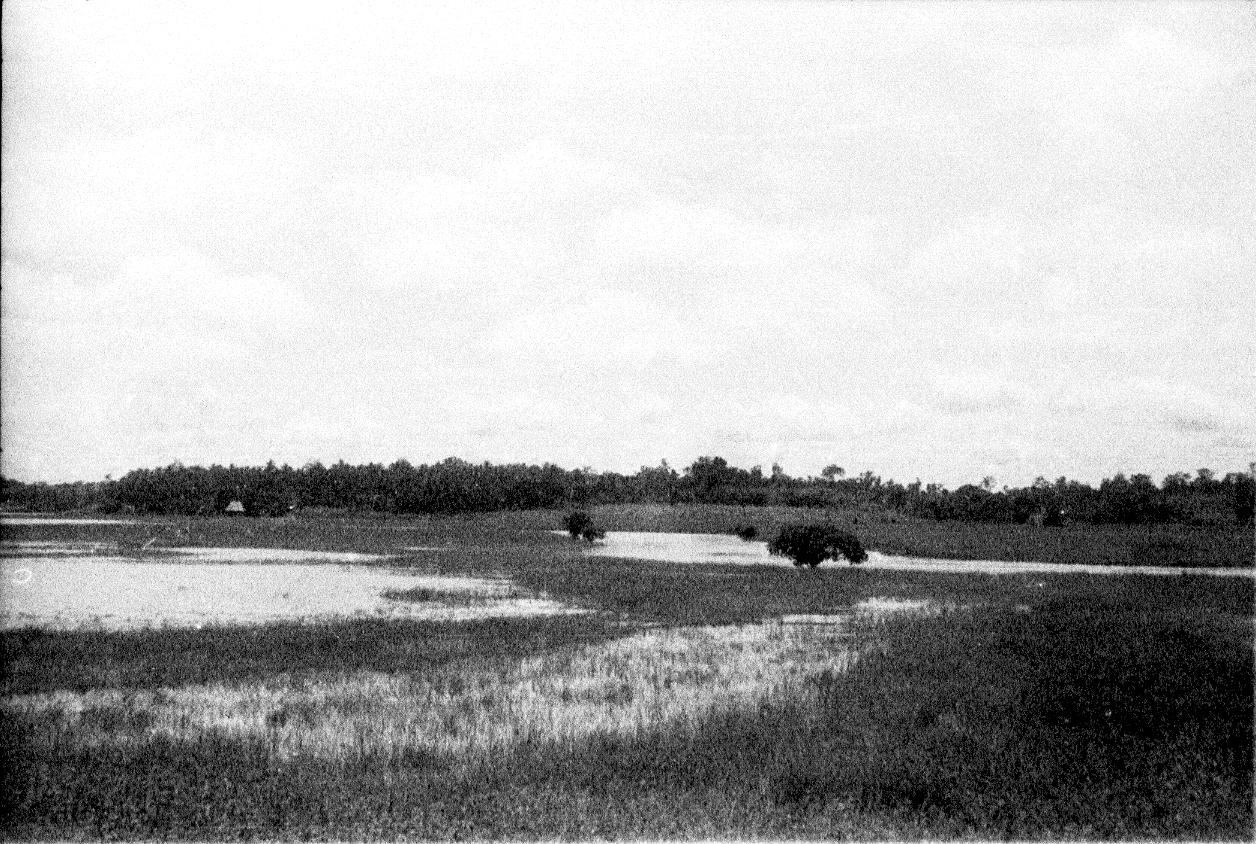 BD/67/240 - 
Landschapsfoto van water en riet

