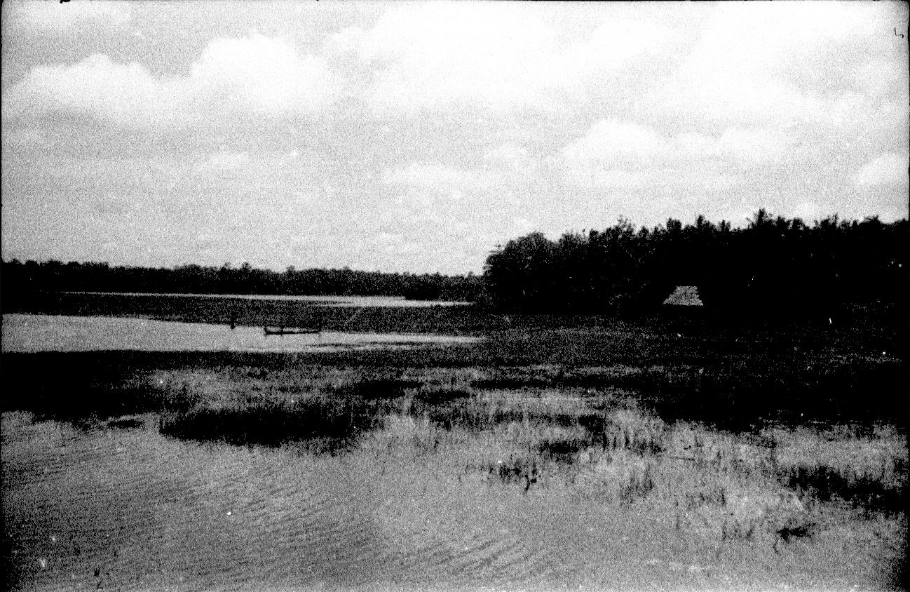BD/67/241 - 
Landschapsfoto van water en riet
