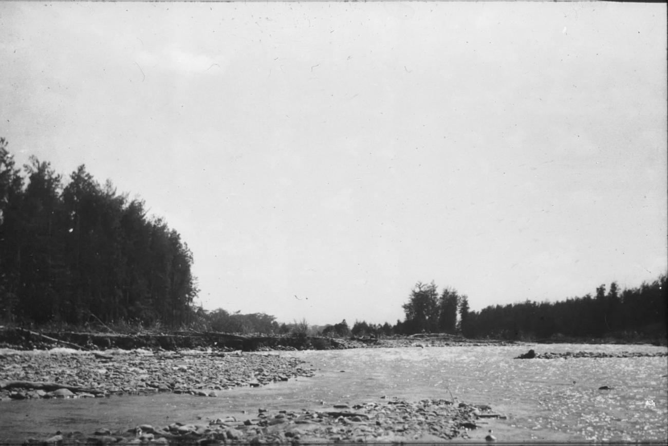 BD/279/1 - 
Benedenloop Wariori rivier
