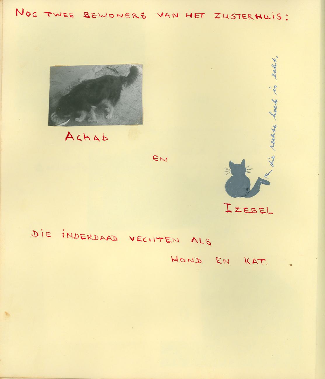 BD/83/16 - 
Huisdieren Achab en Izebel van het zusterhuis in Sarmi
