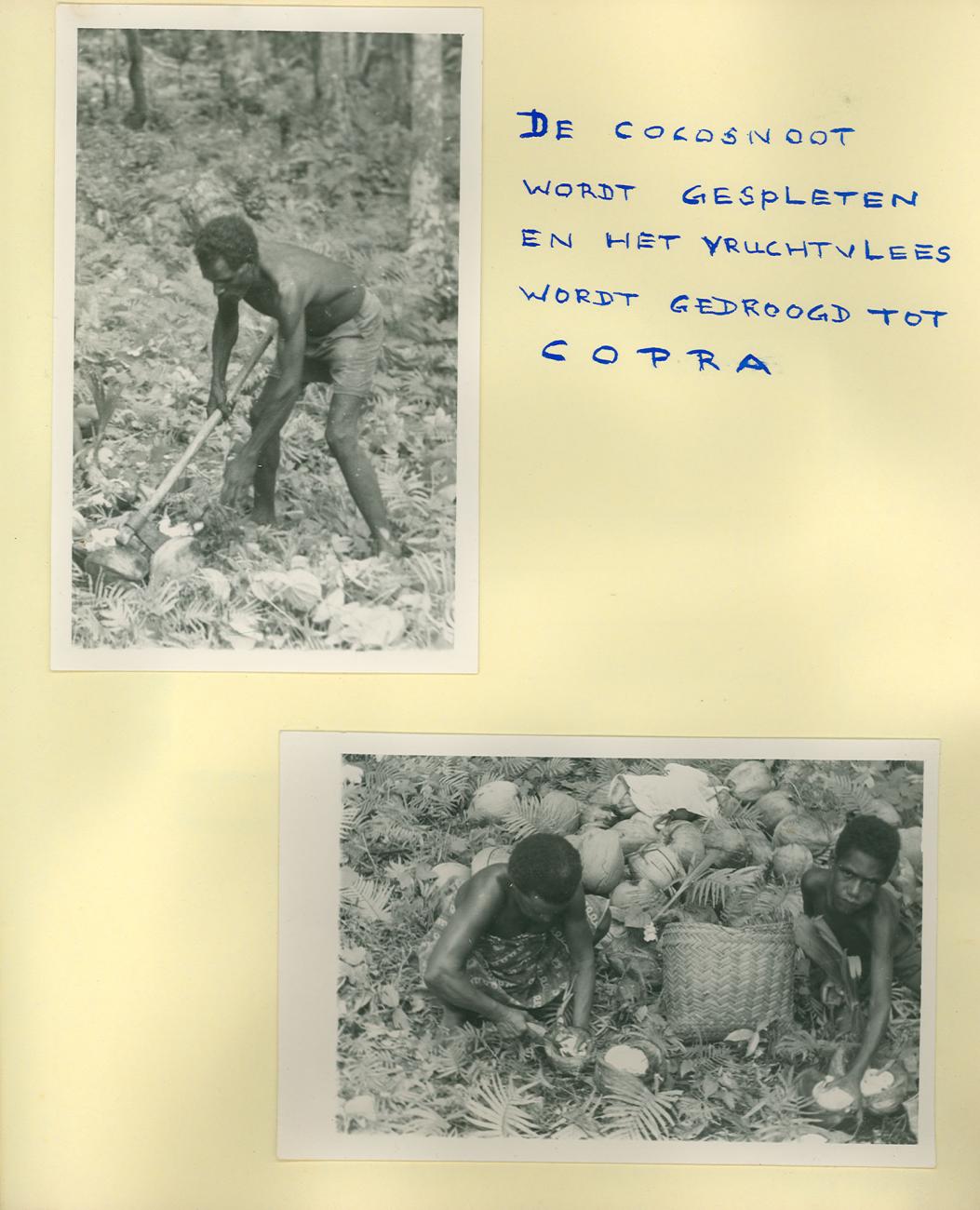 BD/83/57 - 
Arbeidsverdeling bij de verwerking van kokosnoten tot kopra
