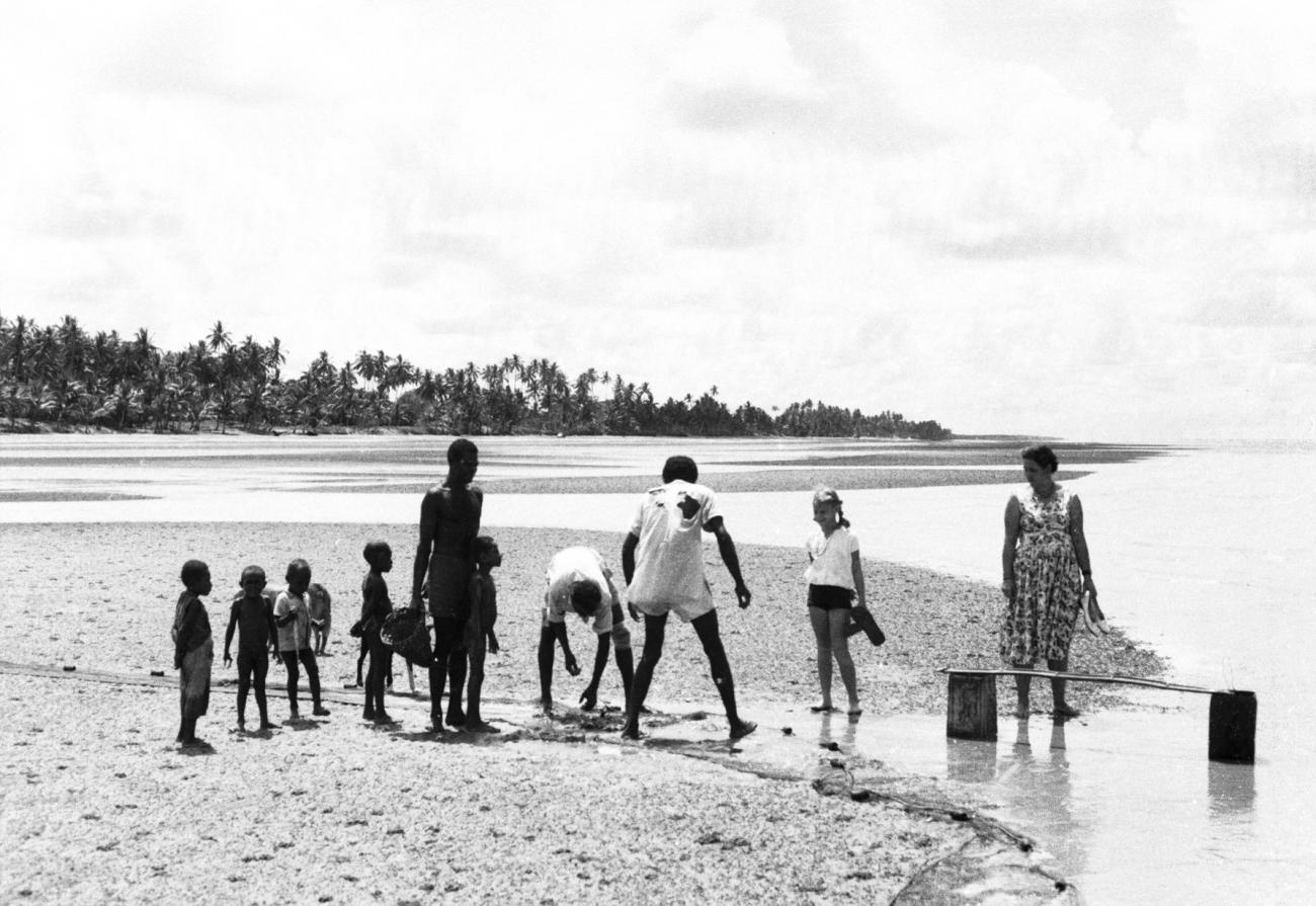 BD/133/1029 - 
Papoea&#039;s vissen aan het strand met toekijkende westerlingen
