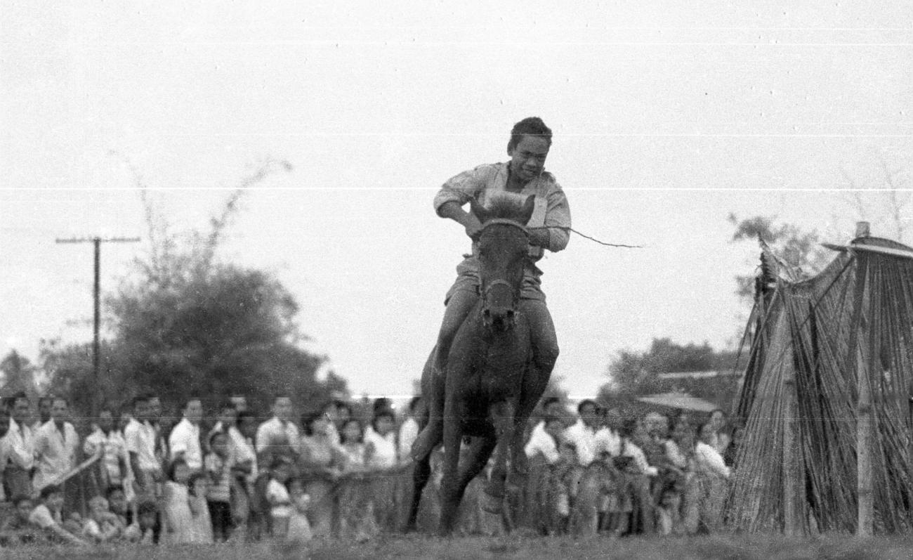 BD/133/109 - 
Paardrijwedstrijd te Merauke ter ere van Koninginnedag
