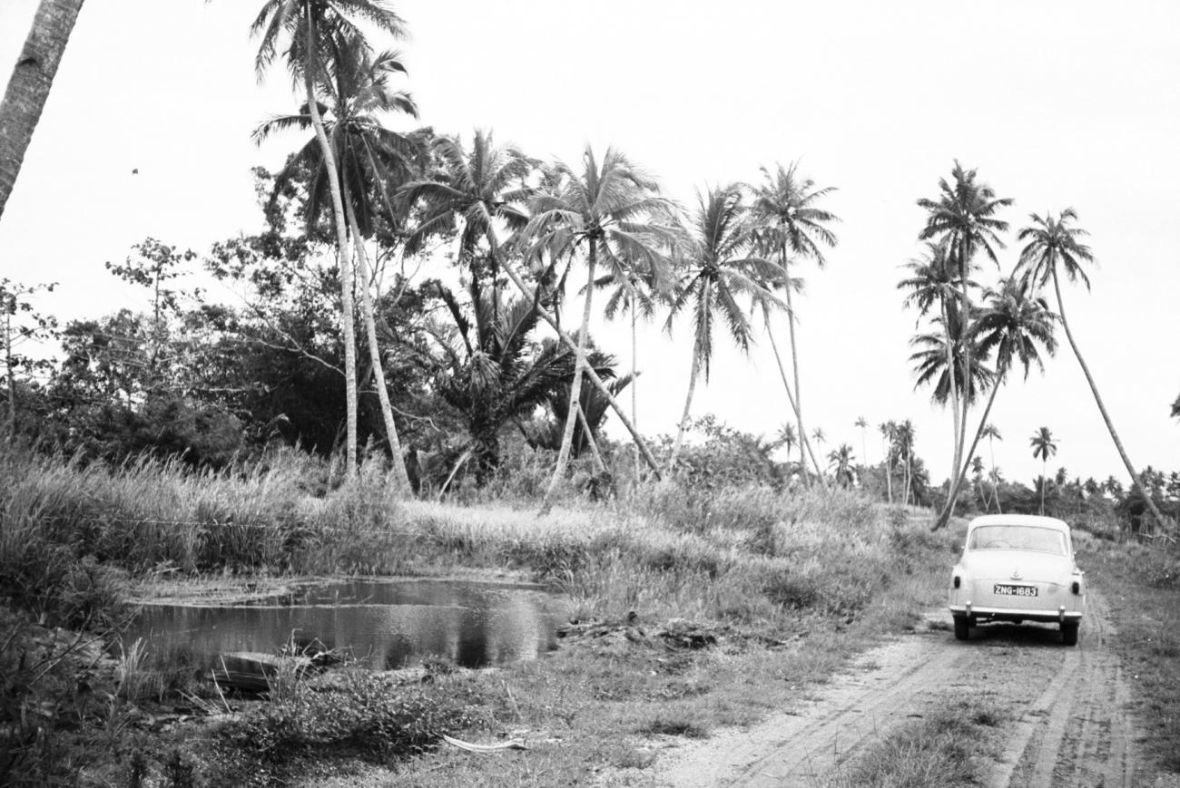 BD/133/1125 - 
Auto geparkeerd bij meertje tussen de palmbomen
