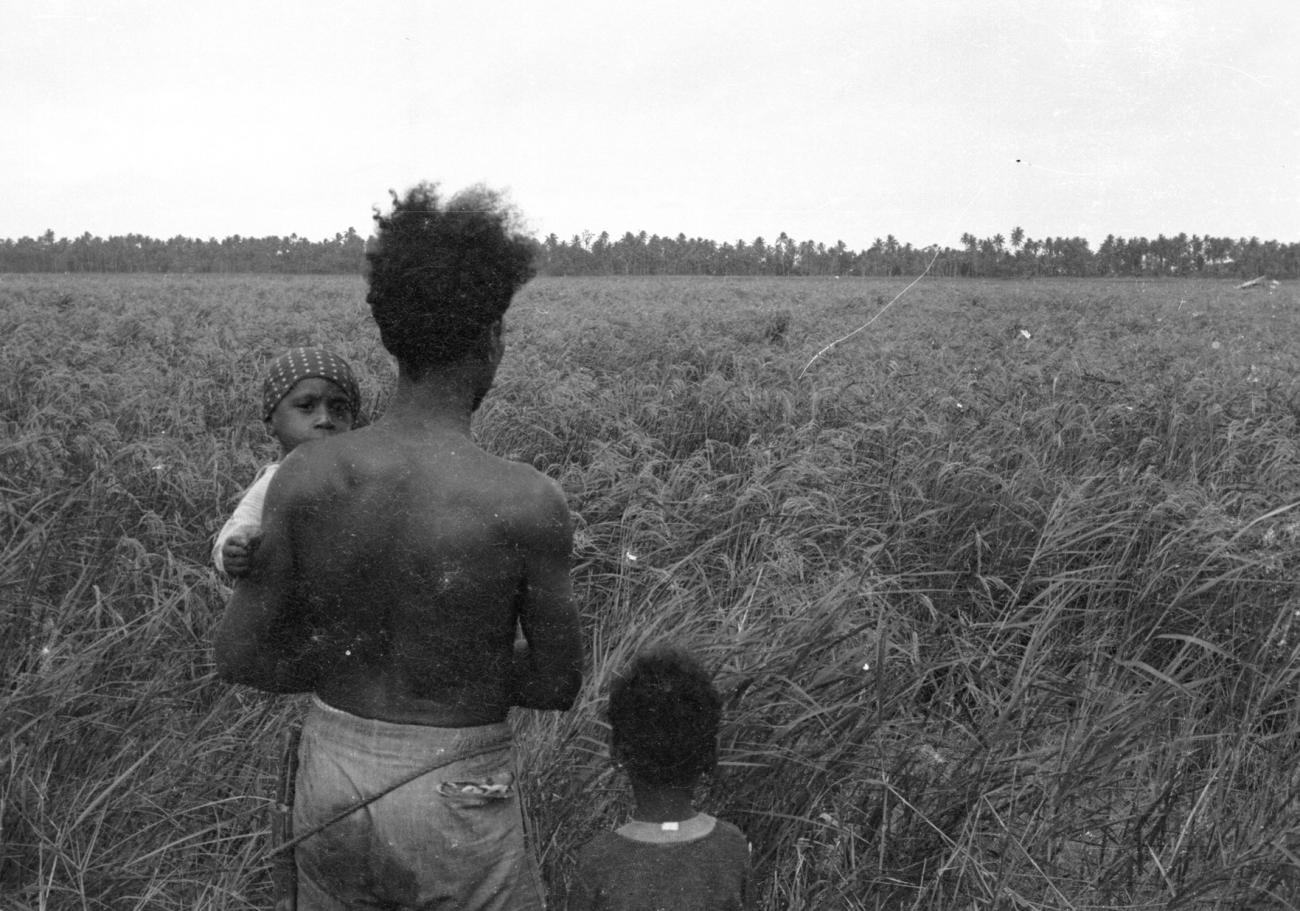 BD/133/1132 - 
Papoea-man en zijn twee kinderen uitkijkend over veld
