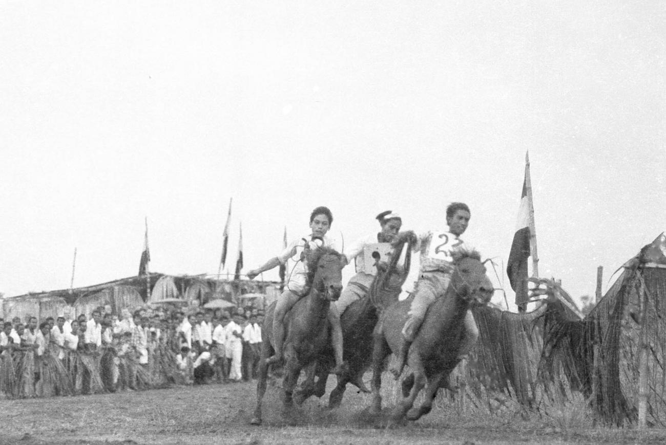 BD/133/113 - 
Paardrijwedstrijd te Merauke ter ere van Koninginnedag
